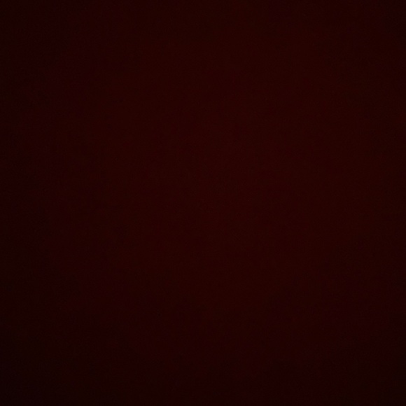 Meet your Posher, Riley - Picture 1 of 1